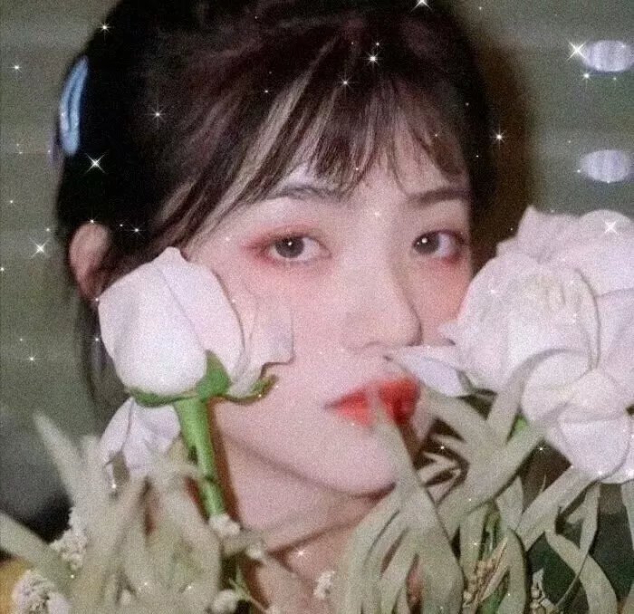 双世美姬